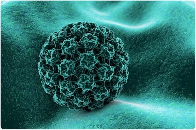 HPV TESTING CENTRE HPV TESTING CENTRE